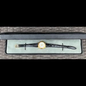 Pedre Brand Treasure Island Casino Las Vegas Now TI Logo Watch With Case Used